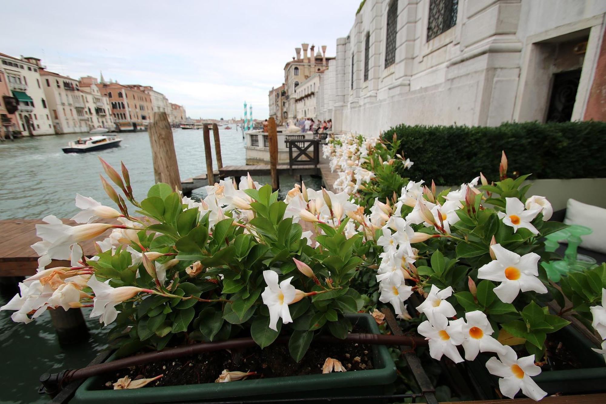 Grandelux-Canal - Bbc Venice Grand Tour 2024 Recorded Here! Экстерьер фото
